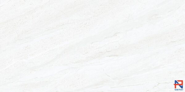 Gạch Nhập Khẩu Ấn Độ 30x60 NP3537 - L