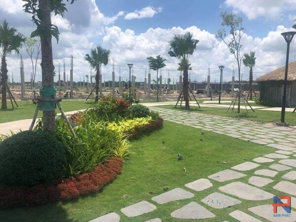 Đá ong rối lộn xộn lát sân