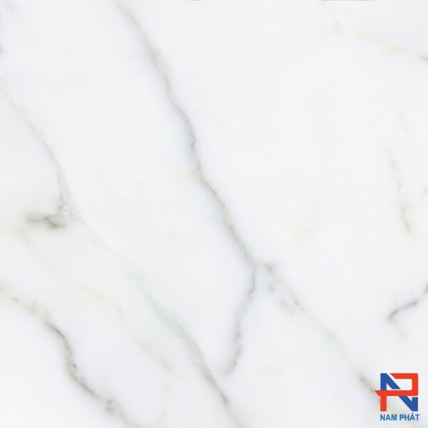 Gạch Nhập Khẩu Tây Ban Nha 80x80 Calacatta