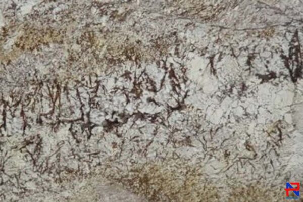 Đá Granite Persa GoldA G003