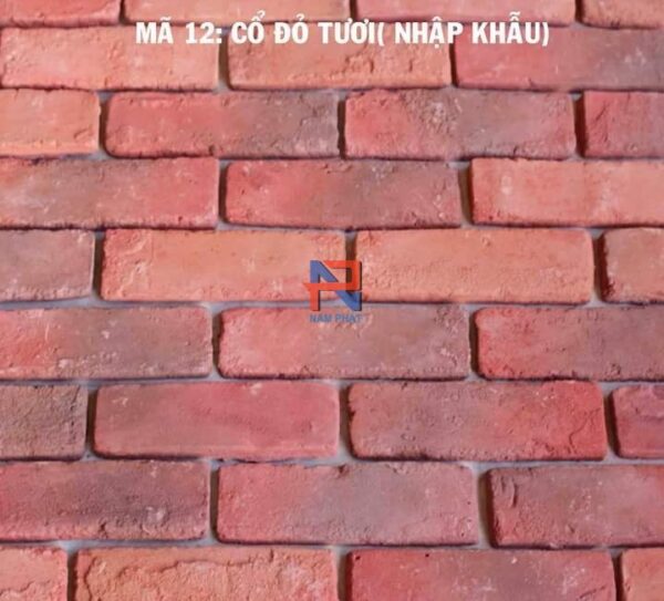 Gạch giả cổ đỏ tươi NPGC007