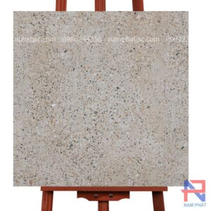 Gạch terrazzo kích thước 60x60 cm NPTR66764