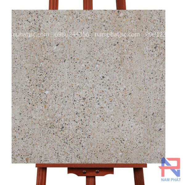Gạch terrazzo kích thước 60x60 cm NPTR66764