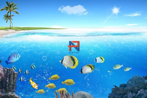 Gạch Tranh 3D Biển - Đại Dương BGT3D07