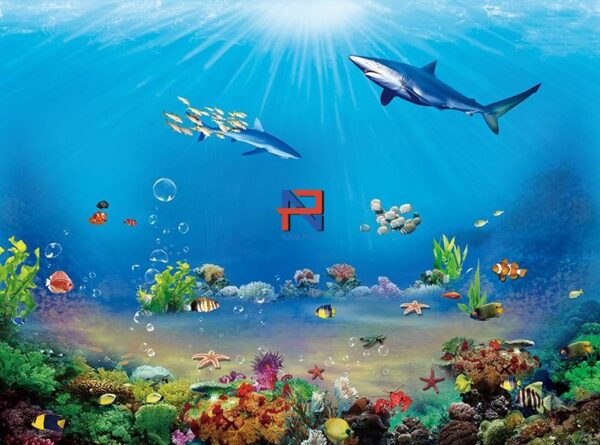 Gạch Tranh 3D Biển - Đại Dương BGT3D06