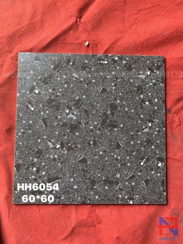 Gạch lát sàn terrazzo NPTR6054
