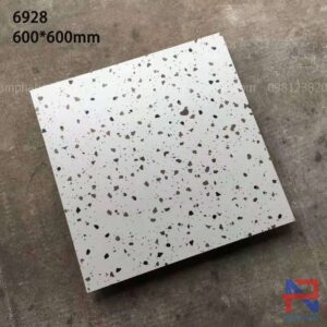 Gạch terrazzo lát nền NPTR6928