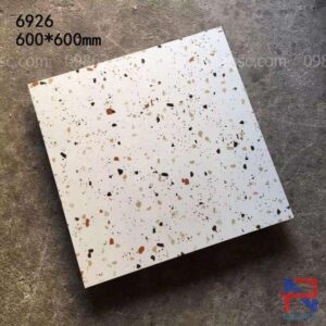 Gạch terrazzo lát nền NPTR6926
