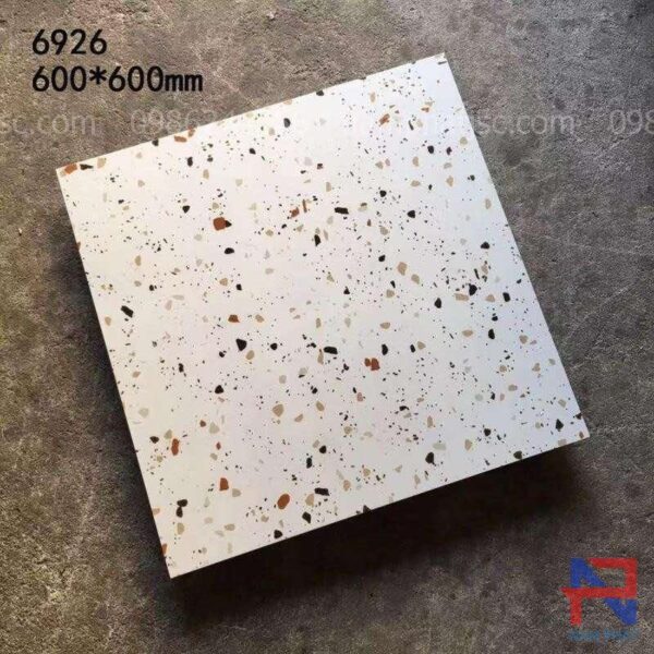 Gạch terrazzo lát nền NPTR6926