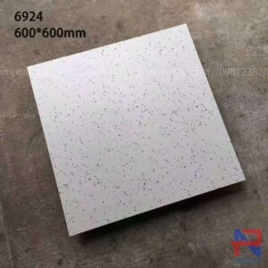 Gạch terrazzo lát nền NPTR6924