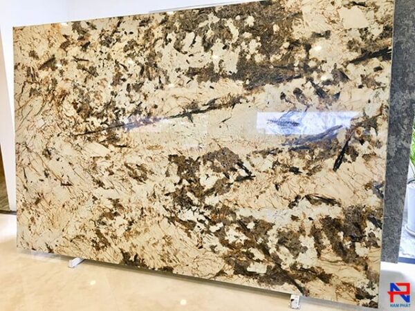 Đá làm bàn bếp Granite Splendor Gold NPB026